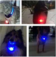 LED Night Safety Pendant