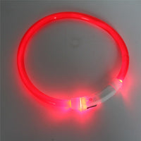 Rechargeable LED Lighted Pet Collar